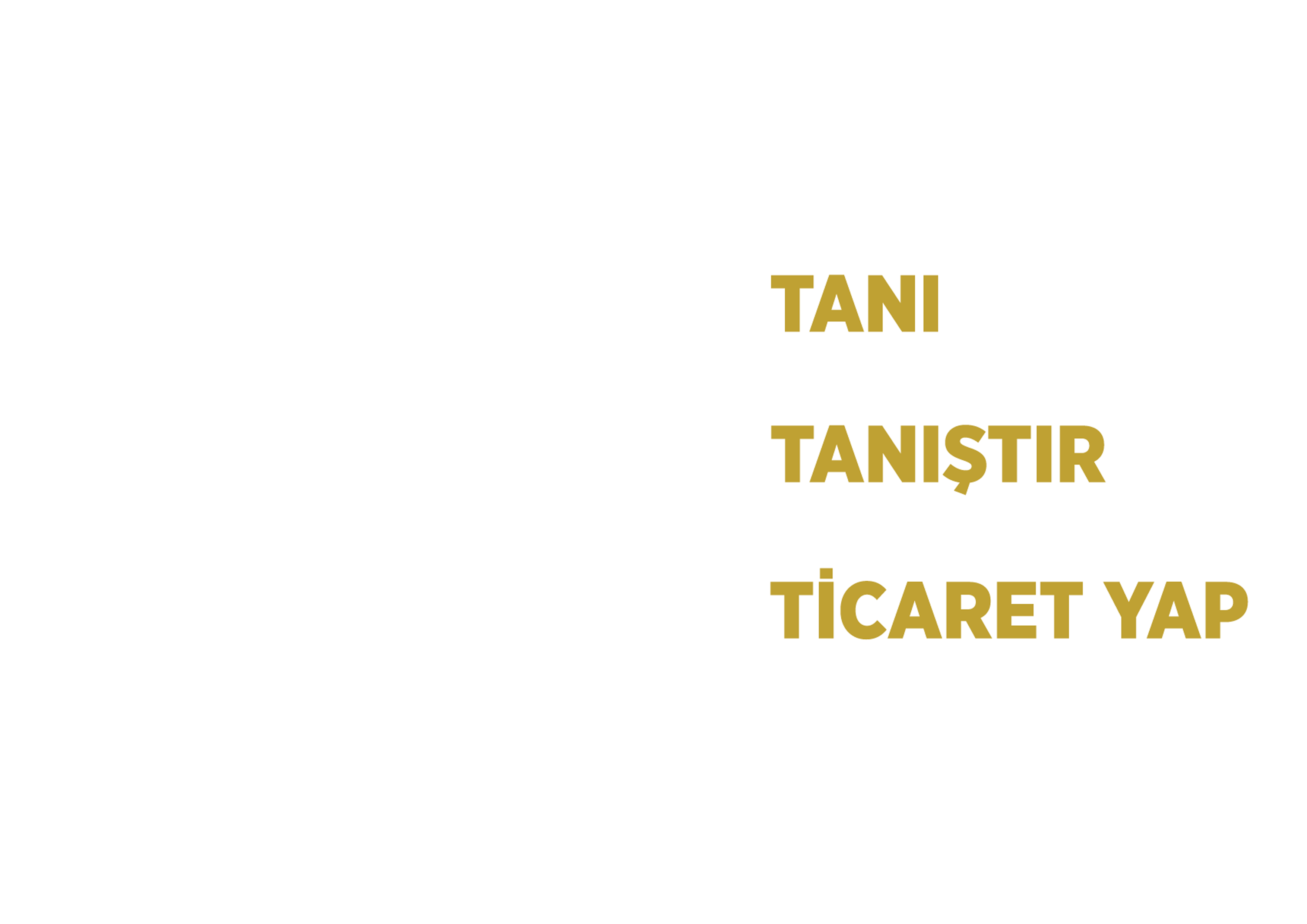 3T